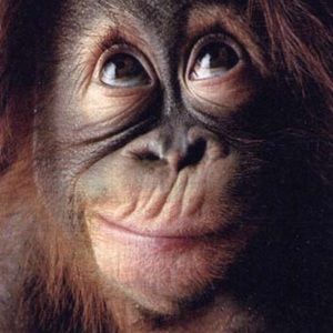 Meet your Posher, Roberta